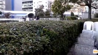 亚洲AV.浮生影院日本免费一区香蕉视频,亚洲毛片免费一级,国产在线精品一区亚洲毛片免费一级,国产在线精品一区二区不卡麻豆